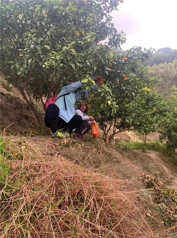 博行天下俱樂部走進(jìn)從化十登的第二峰-雞枕山     -18